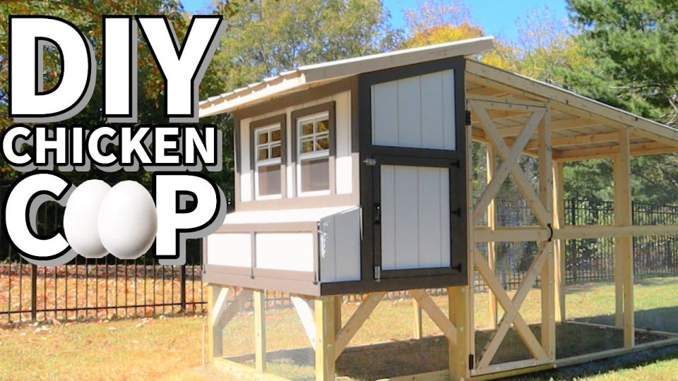 25-free-diy-chicken-coop-plans-with-pdf-instructions-diy-cozy-home