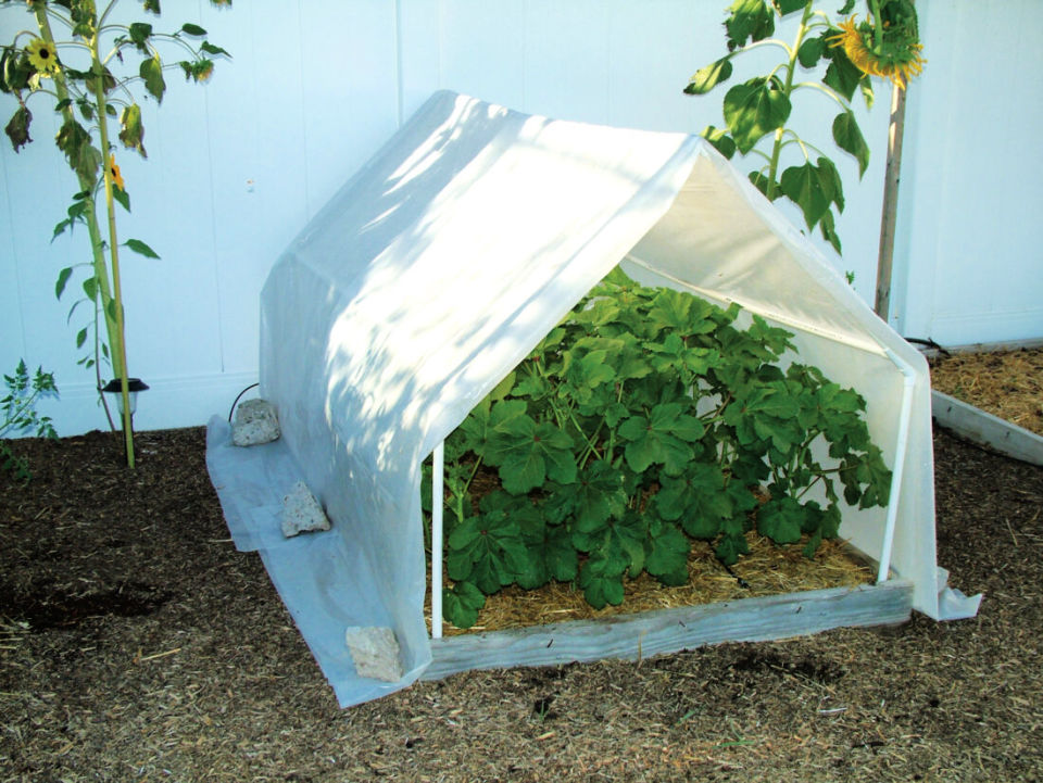25 Free DIY Cold Frame Plans for Gardening DIY Cozy Home